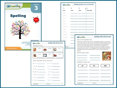 Grade 3 spelling workbook