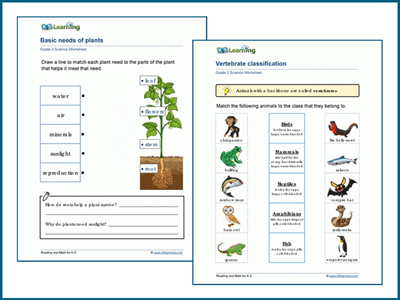 Grade 3 ecosystems worksheets