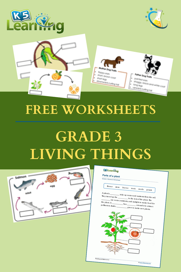 What Is Living Things Grade 3 - Free Worksheets Printable