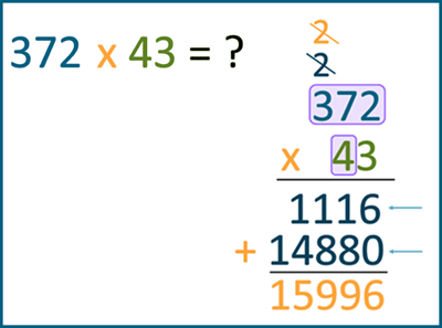 Multiply 3-digit by 2-digit numbers