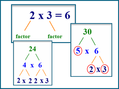 Factor trees to work out prime factorization