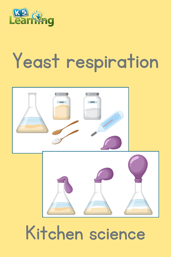 respiration of yeast experiment