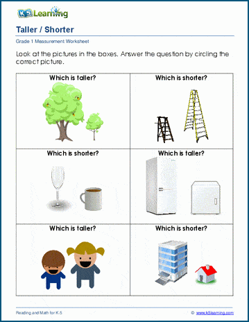 True Height Glossary and Comprehension Questions and Answers for
