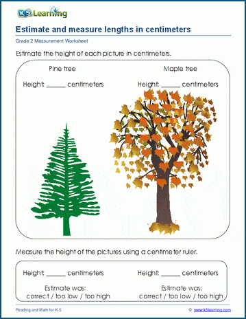 Grade 2 Measurement Worksheet on estimating metric lengths