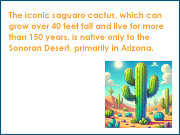 Fun facts about Arizona