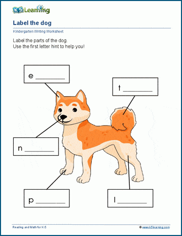 Labelling Worksheets | K5 Learning