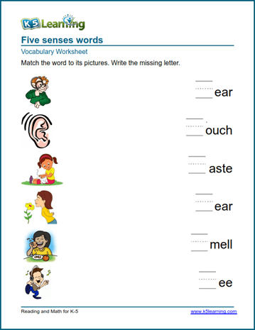 five senses worksheets for kindergarten