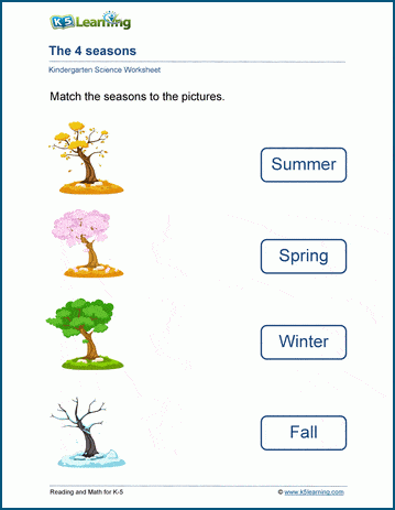 SEASONS OF THE YEAR for Kids  Learn Spring, Summer, Autumn, and