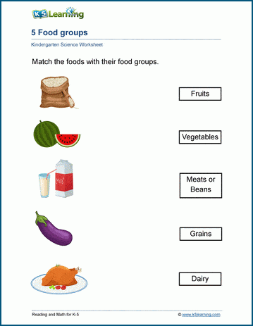 5 food groups worksheets k5 learning