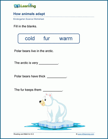 How Animals Adapt Worksheets | K5 Learning