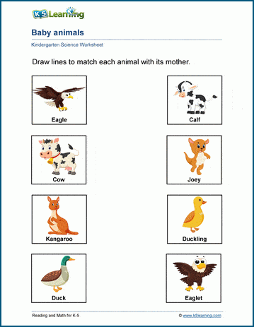 Baby Animals Worksheets K5 Learning