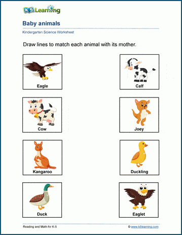 matching animals and their babies worksheet