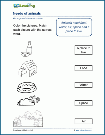needs of animals worksheets k5 learning
