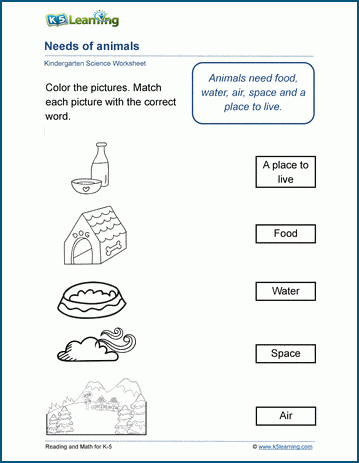 Animal Needs Worksheet Kindergarten