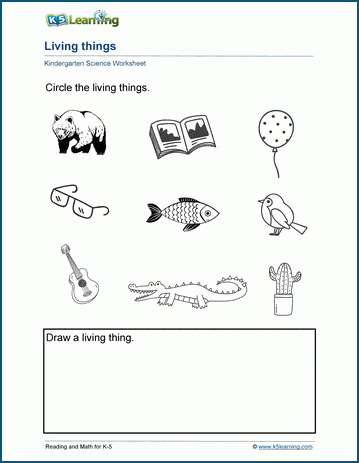 Worksheets for living and nonliving things