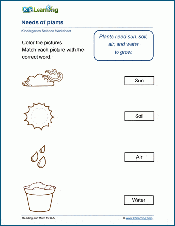 Needs of plants worksheets | K5 Learning