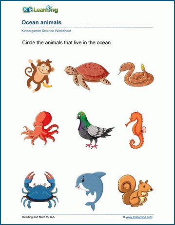 ocean animals for kids worksheets