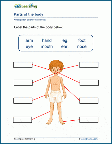 Parts of the body worksheets | K5 Learning