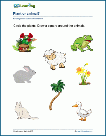 Plant Or Animal Worksheets K5 Learning