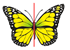 Lines of symmetry example