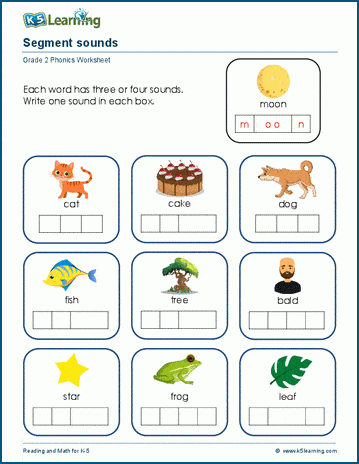 Phoneme segmentation worksheets