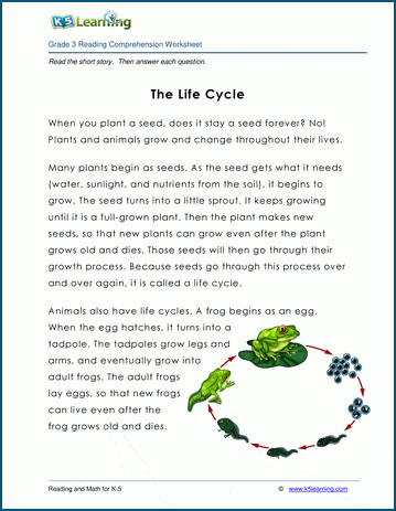 Life Cycle Quiz 3rd Grade