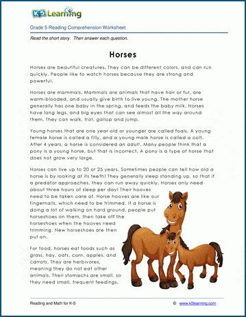 30 Parts Of The Horse Worksheet - support worksheet