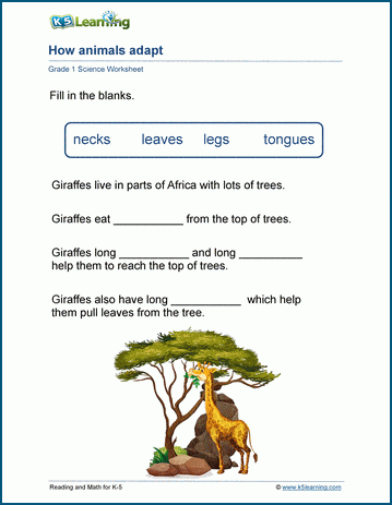 animal adaptations worksheets k5 learning