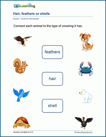 animal coverings worksheets k5 learning