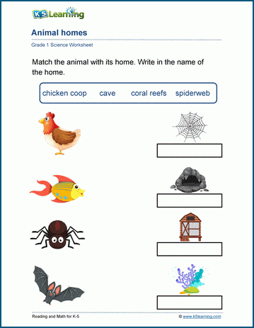 science worksheets for grade 2 animals animals