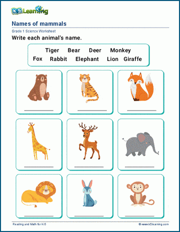 animals pictures with names for kids download