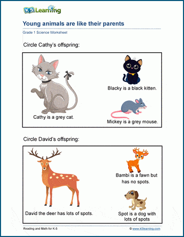 Grade 1 Animal Traits A 