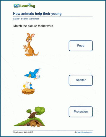 how animals help their young worksheet k5 learning