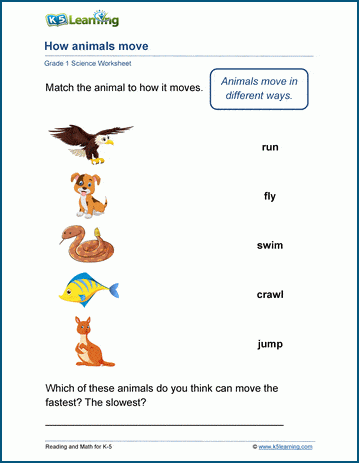 how animals move worksheet k5 learning