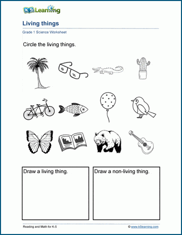 Living Things Worksheet K5 Learning   Grade 1 Living Things A 