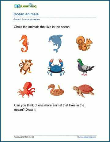 Animal habitats worksheets