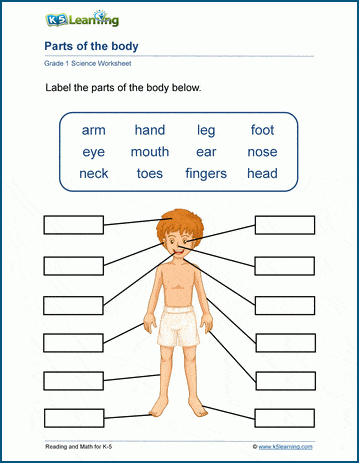 Label the pictures 5. Body Part Grade 1. Label body Parts. Body Parts 5 класс. Задания для детей 5-6 лет Parts of body.