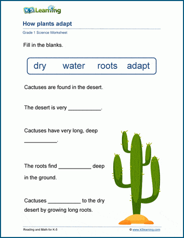 how plants adapt worksheet k5 learning