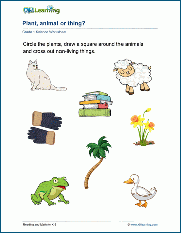 plant animal or thing worksheet k5 learning