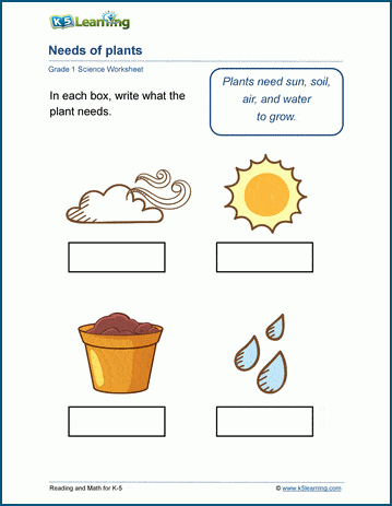 Needs of plants worksheets