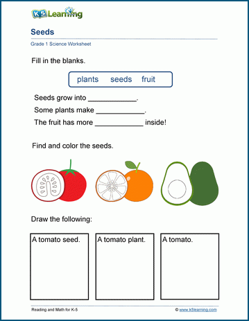 grade 1 plants worksheets k5 learning grade 1 science worksheets k5