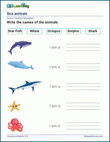 Write animal names worksheet