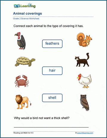 animal coverings worksheets k5 learning