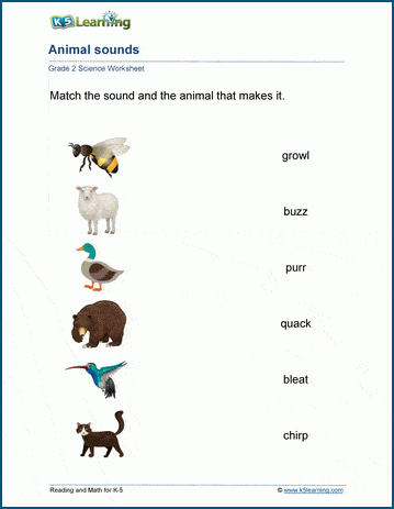 Animal sounds worksheets