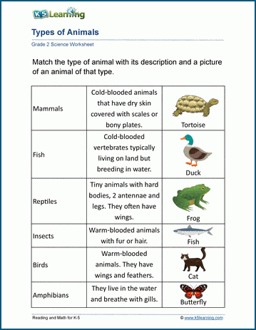 types of animals worksheets k5 learning