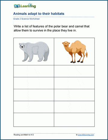 Adapting to habitats worksheets