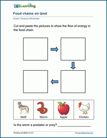 The Food Chains Worksheets K5 Learning