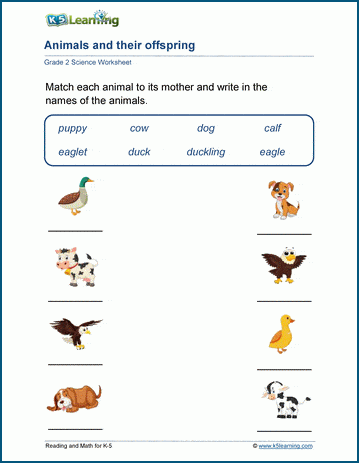 animal s offspring worksheets k5 learning