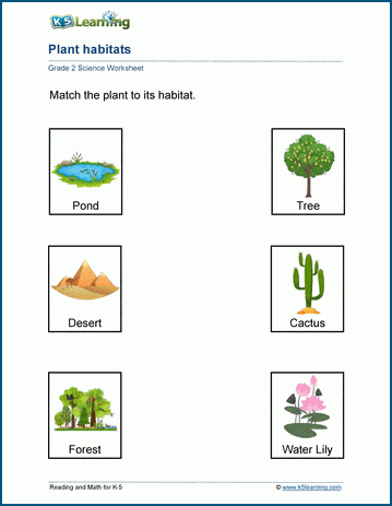 plant habitats worksheets k5 learning
