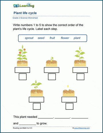 life cycle of plants worksheets k5 learning